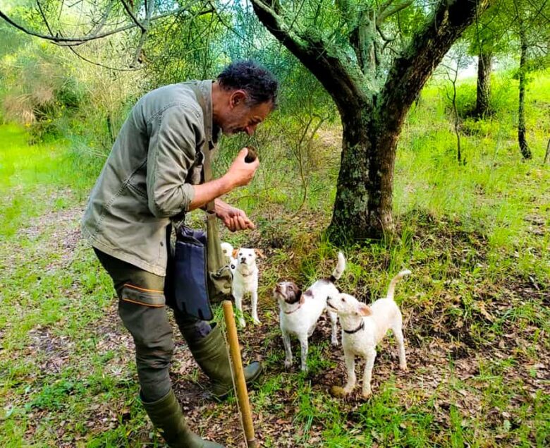 Truffle hunter with dog searching the forest floor in Tuscany, Italy