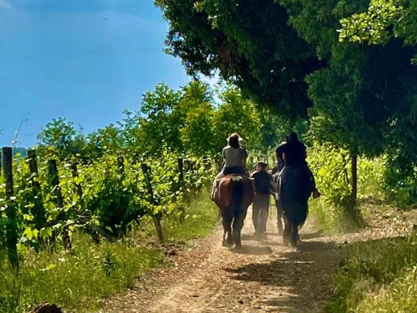 Horse Back Riding - La Chiusa Tuscany