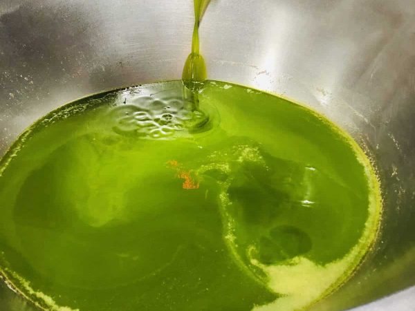 Olive Oil Class & Tasting - La Chiusa Tuscany