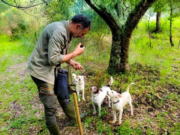 Truffle Hunting - La Chiusa Tuscany