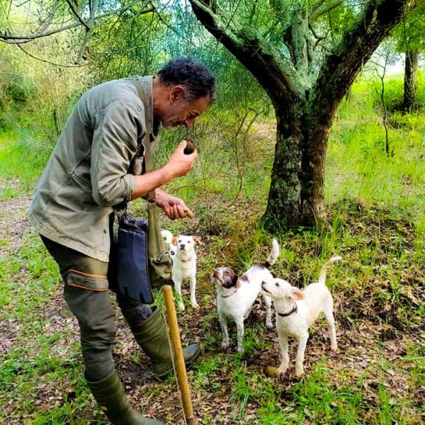 Truffle Hunting - La Chiusa Tuscany